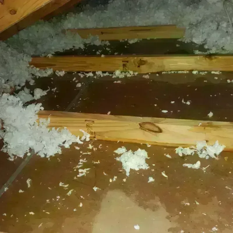 Attic Water Damage in Scott County, MS