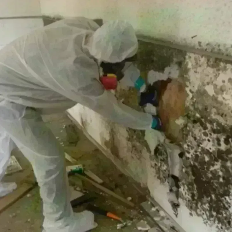 Mold Remediation and Removal in Scott County, MS