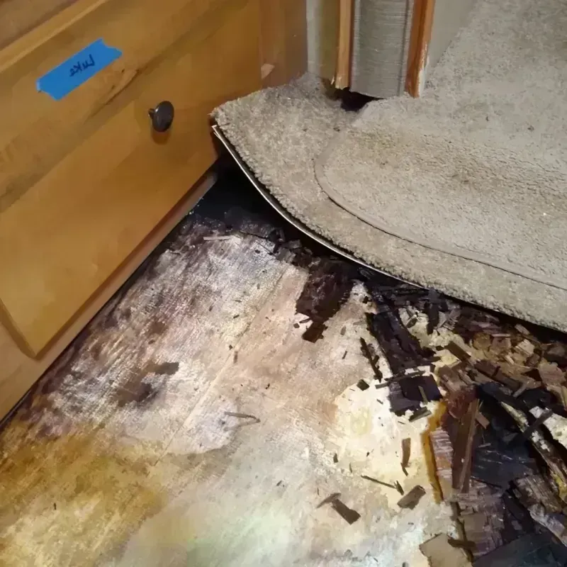 Wood Floor Water Damage in Scott County, MS